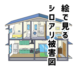 絵で見るシロアリ被害図