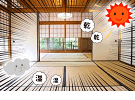 畳の虫干し