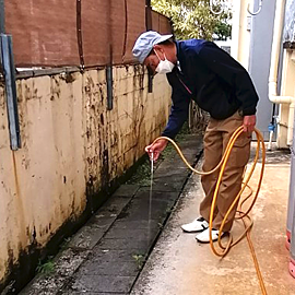 外周の薬剤処理