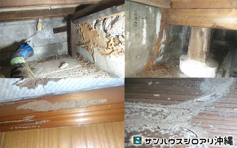 床下被害写真